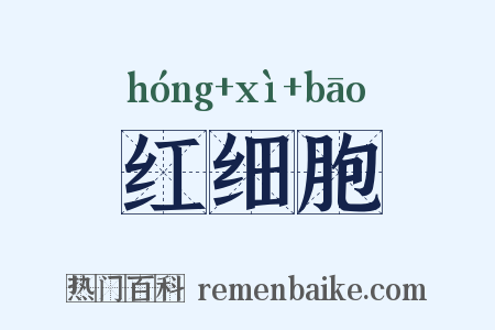 红细胞是什么意思的图片